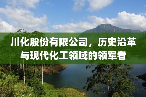 川化股份有限公司，历史沿革与现代化工领域的领军者