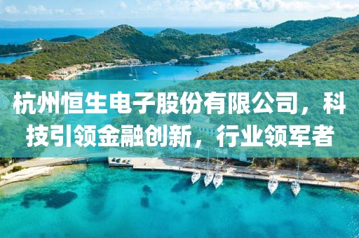 杭州恒生电子股份有限公司，科技引领金融创新，行业领军者