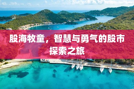 股海牧童，智慧与勇气的股市探索之旅