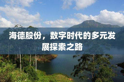 海德股份，数字时代的多元发展探索之路