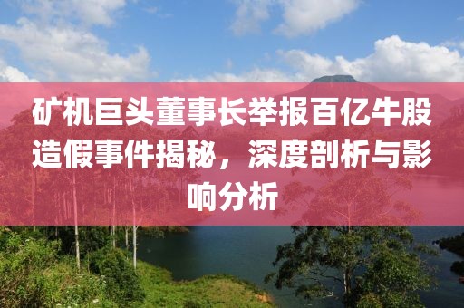 矿机巨头董事长举报百亿牛股造假事件揭秘，深度剖析与影响分析