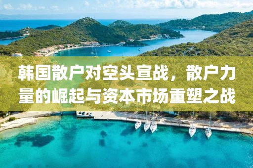 韩国散户对空头宣战，散户力量的崛起与资本市场重塑之战