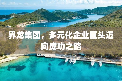 界龙集团，多元化企业巨头迈向成功之路