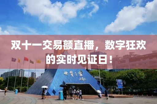 双十一交易额直播，数字狂欢的实时见证日！