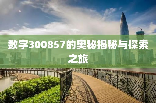 数字300857的奥秘揭秘与探索之旅