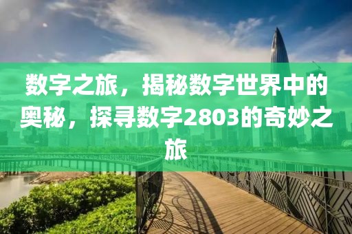 数字之旅，揭秘数字世界中的奥秘，探寻数字2803的奇妙之旅