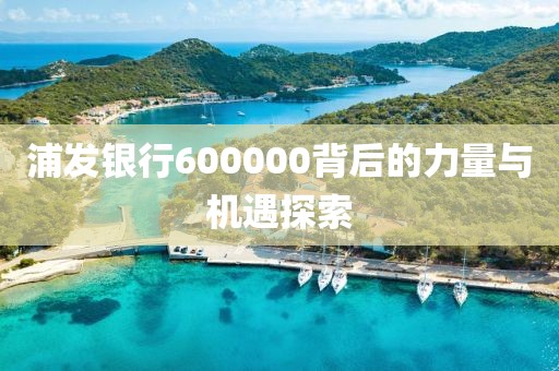 浦发银行600000背后的力量与机遇探索