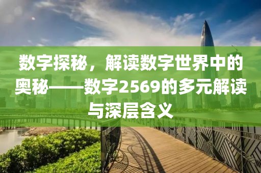 数字探秘，解读数字世界中的奥秘——数字2569的多元解读与深层含义