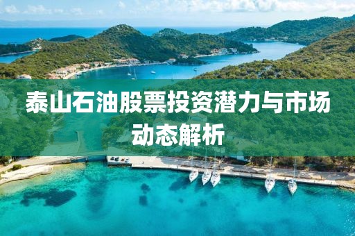 泰山石油股票投资潜力与市场动态解析