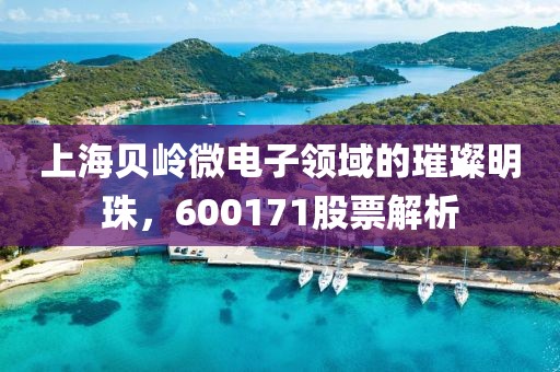 上海贝岭微电子领域的璀璨明珠，600171股票解析