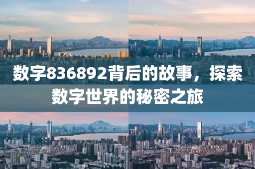 数字836892背后的故事，探索数字世界的秘密之旅