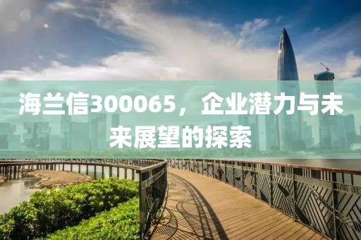 海兰信300065，企业潜力与未来展望的探索