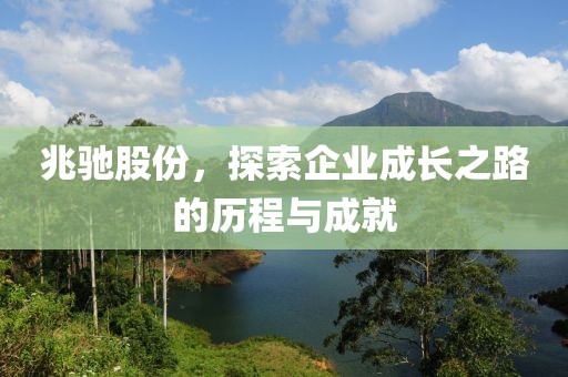 探索金融杠桿的力量，炒股配資與亻中承配資在股票重組中的機(jī)遇與挑戰(zhàn)