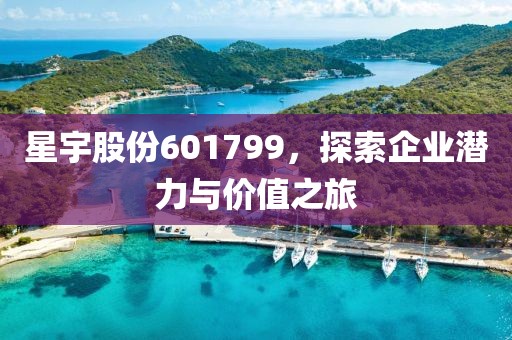 星宇股份601799，探索企业潜力与价值之旅