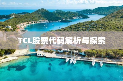 TCL股票代码解析与探索