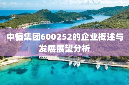 中恒集团600252的企业概述与发展展望分析