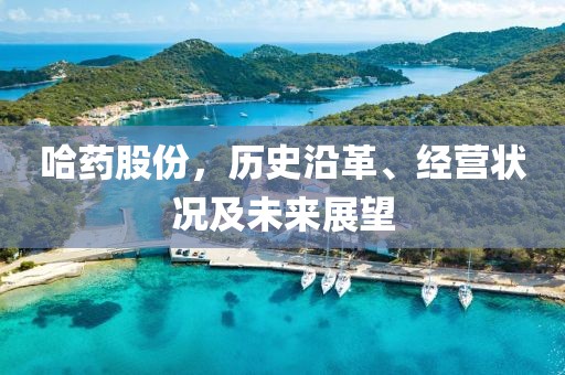 哈药股份，历史沿革、经营状况及未来展望