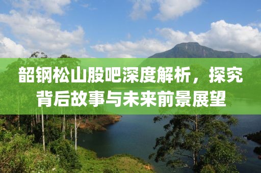 韶钢松山股吧深度解析，探究背后故事与未来前景展望