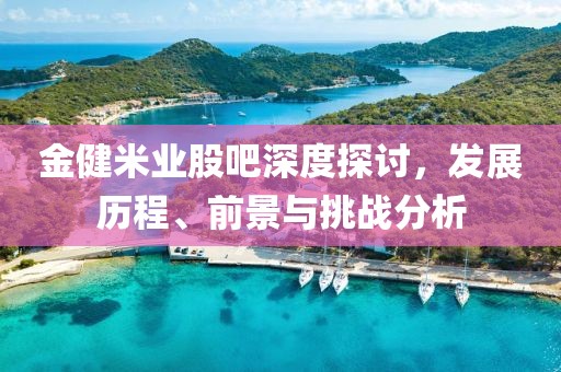 金健米业股吧深度探讨，发展历程、前景与挑战分析