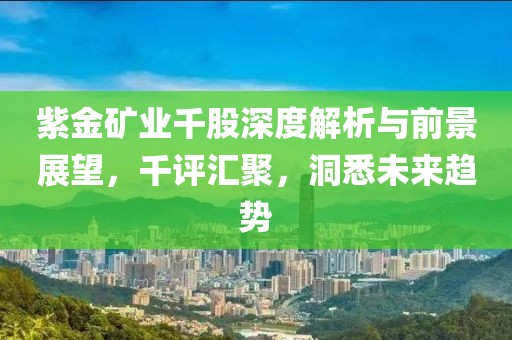 紫金矿业千股深度解析与前景展望，千评汇聚，洞悉未来趋势