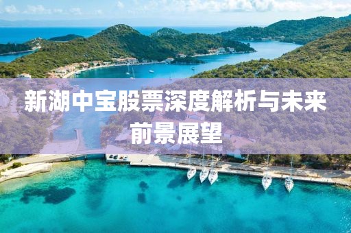 配資炒股比例平衡術(shù)，東北證券股票的風險與收益探討