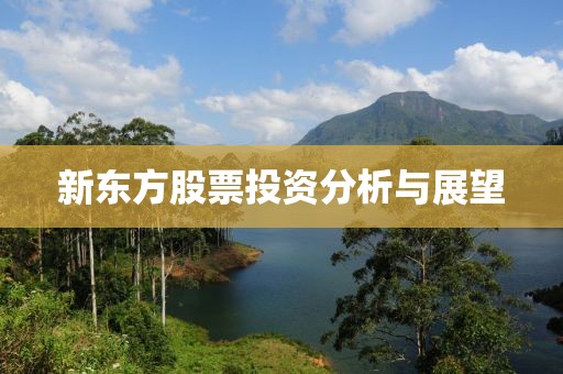 海融科技深度解析，炒股配資公司的運(yùn)營(yíng)解析與探討