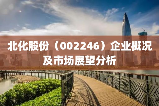 北化股份（002246）企业概况及市场展望分析