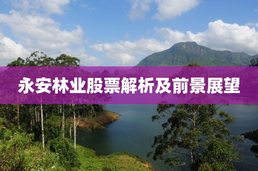 民信炒股配資平臺引領(lǐng)智慧投資新時代，聚焦日照港股票600017分析