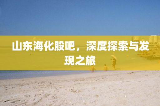 山东海化股吧，深度探索与发现之旅