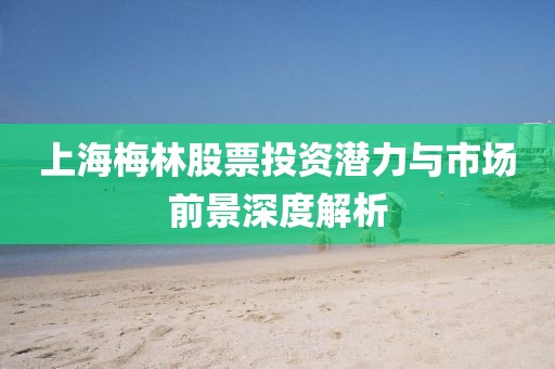 上海梅林股票投资潜力与市场前景深度解析