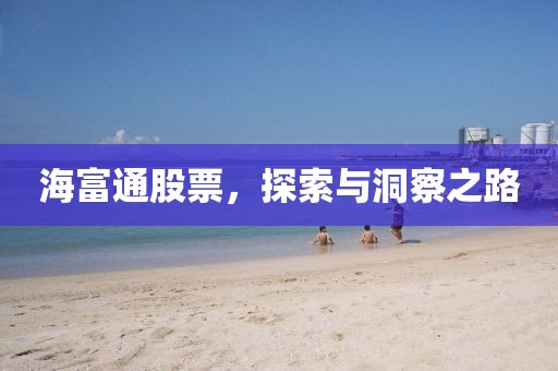 海富通股票，探索与洞察之路