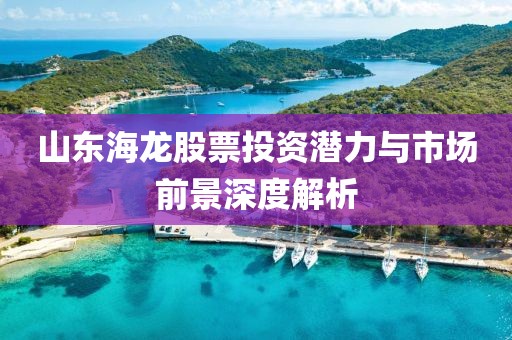 山东海龙股票投资潜力与市场前景深度解析