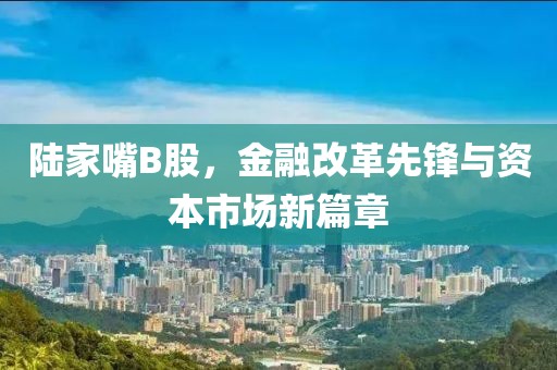 陆家嘴B股，金融改革先锋与资本市场新篇章