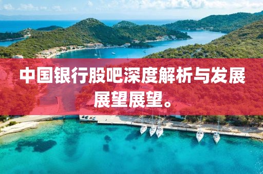 中国银行股吧深度解析与发展展望展望。