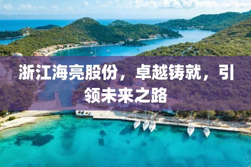 浙江海亮股份，卓越铸就，引领未来之路