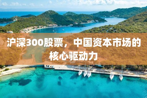 沪深300股票，中国资本市场的核心驱动力