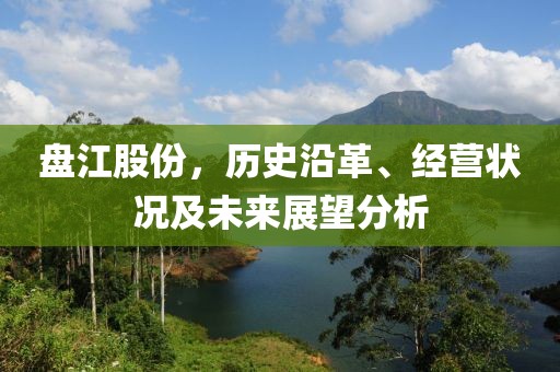 盘江股份，历史沿革、经营状况及未来展望分析