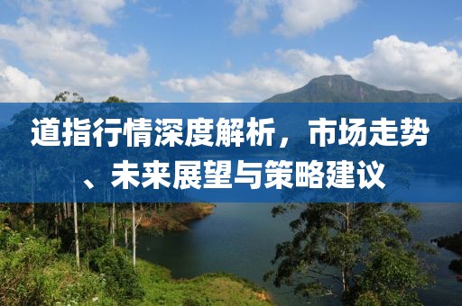 道指行情深度解析，市场走势、未来展望与策略建议