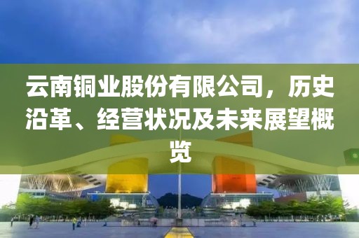 云南铜业股份有限公司，历史沿革、经营状况及未来展望概览