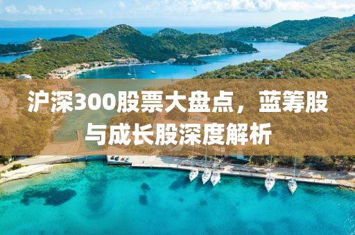 沪深300股票大盘点，蓝筹股与成长股深度解析